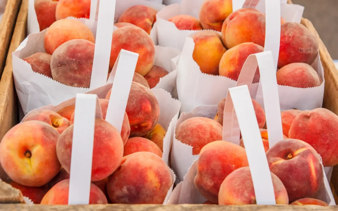 Favorite Farmer’s Markets in Denver & the Front Range