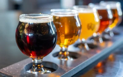 Why Denver Is the Perfect Hub for Brewery Day Trips