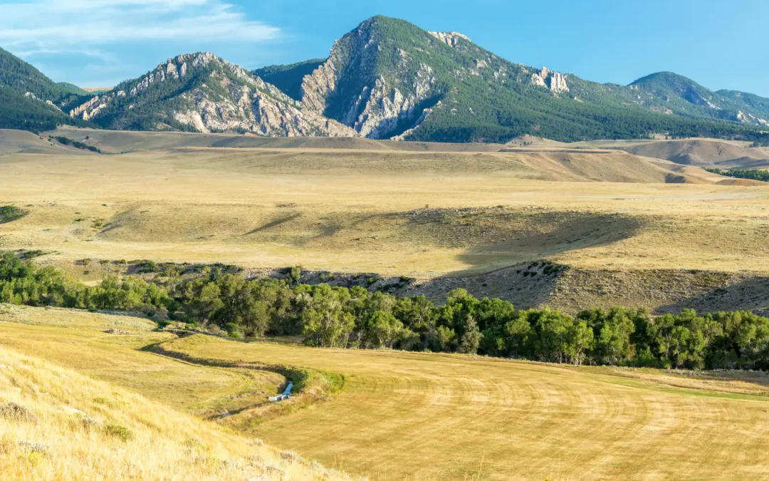 Why Foothills Homes Appeal to Long-Term Buyers