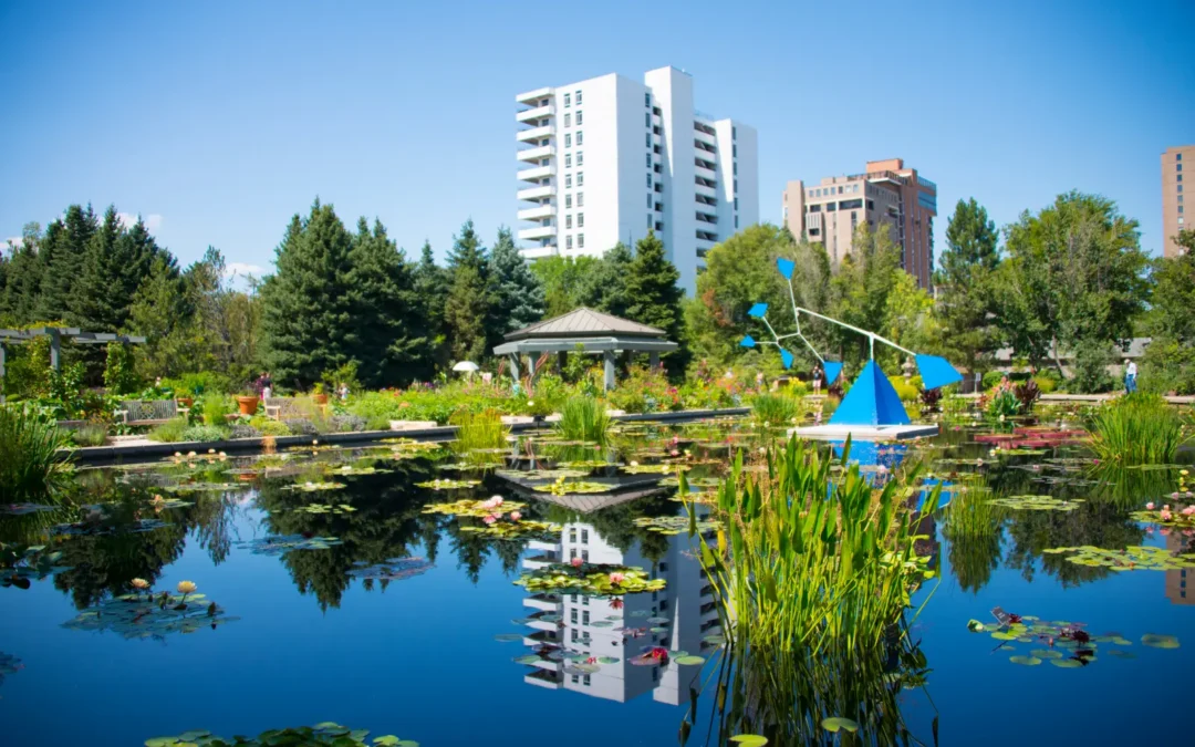 What Makes a Neighborhood Truly Family-Friendly?