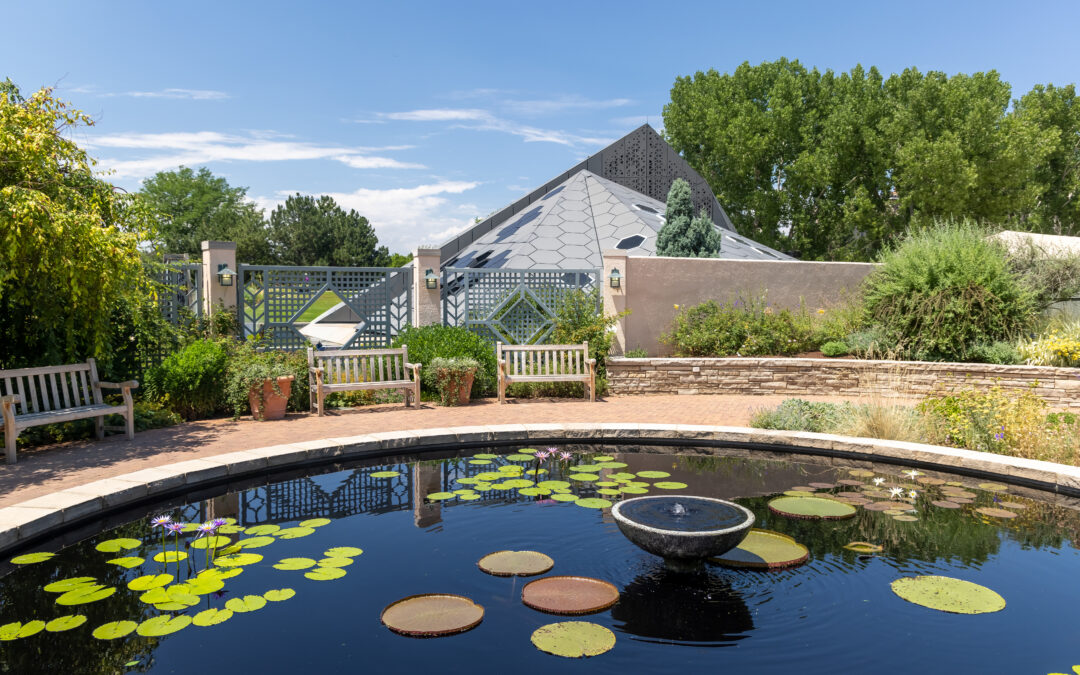 Denver Spring Housing Market: What Buyers Should Expect This Year