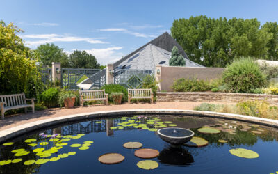 Denver Spring Housing Market: What Buyers Should Expect This Year