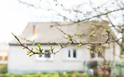 The Colorado Spring Lifestyle: Why Buyers Move Here