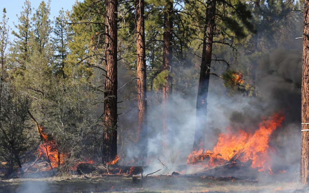 🔥 Wildfire Season in Denver: What Homeowners and Buyers Need to Know