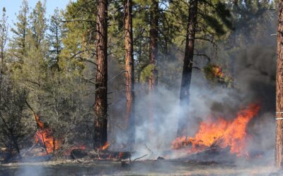 🔥 Wildfire Season in Denver: What Homeowners and Buyers Need to Know